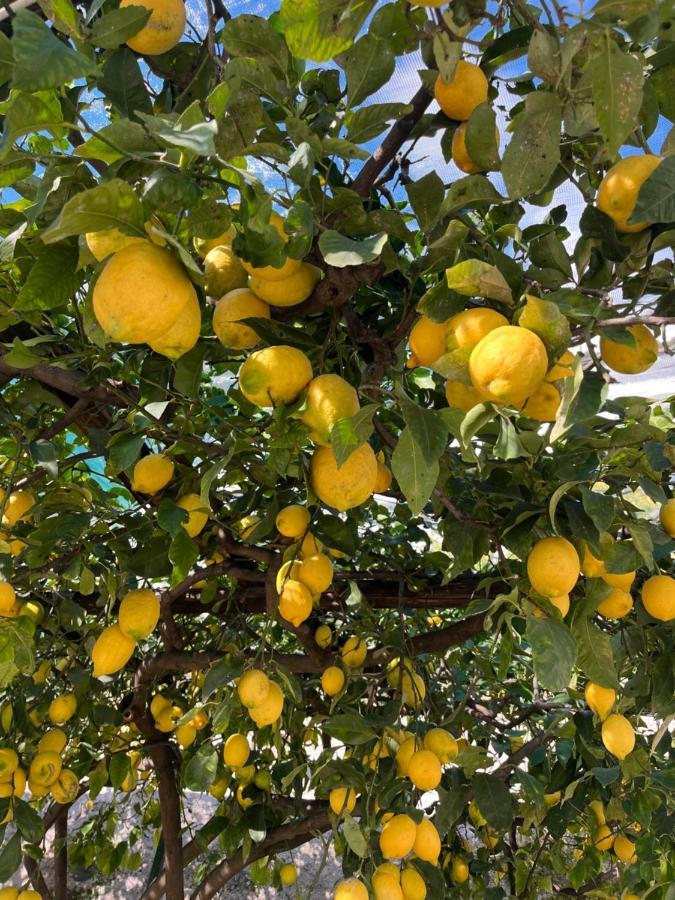 Appartamento Casa Positano Esterno foto